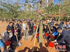 海内外客商齐聚“世界客都”梅州共植“客商林”